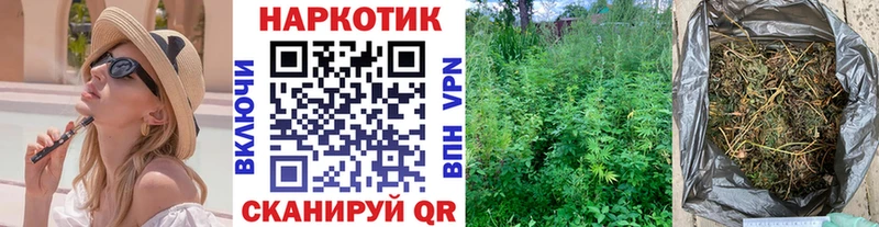 Конопля Мурино