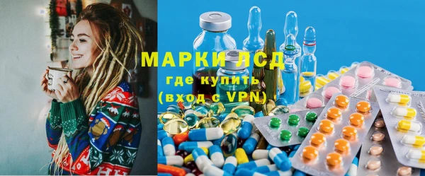 спиды Аркадак