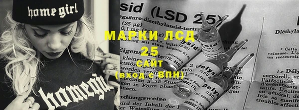 спиды Аркадак