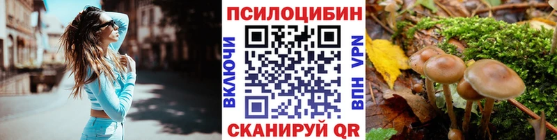 Псилоцибиновые грибы Psilocybe  закладка  Мурино 